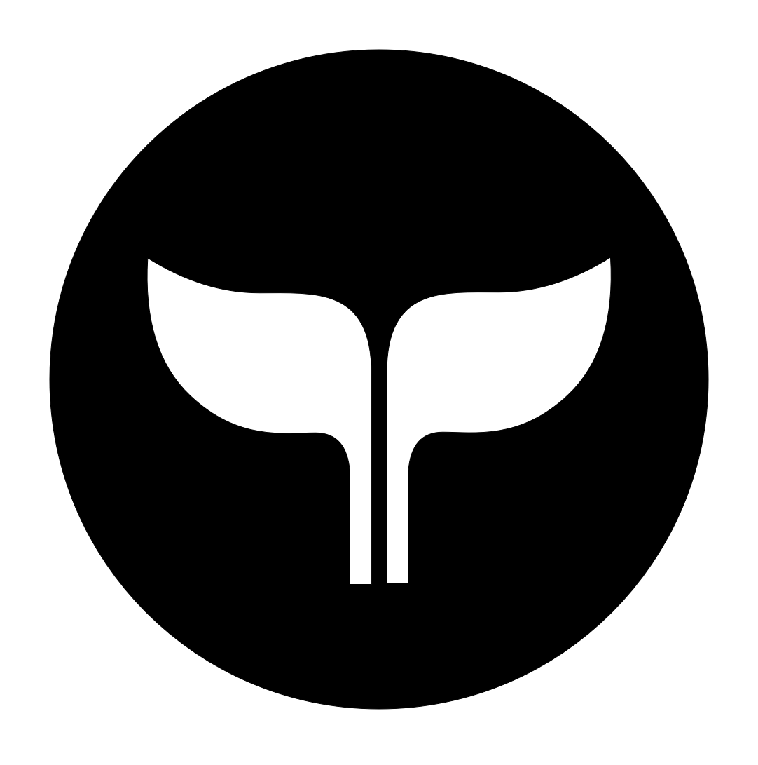 Pilot (Taylor Tobin Portfolio Logo)