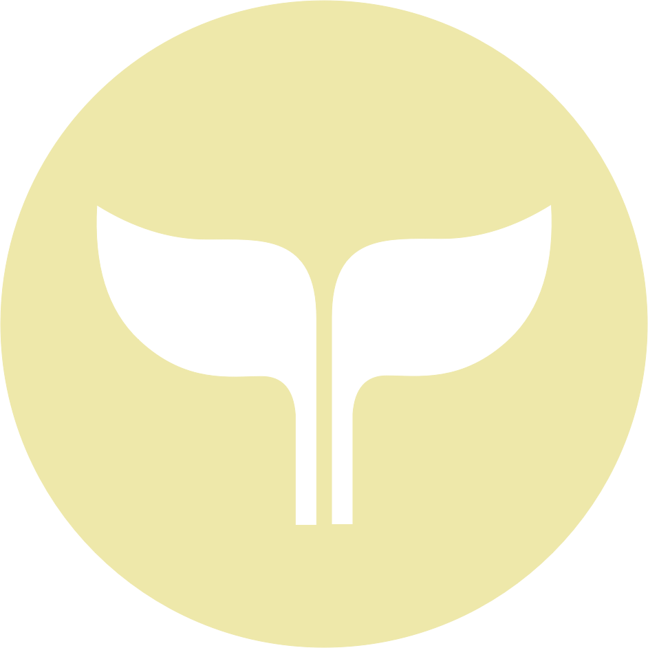 Pilot (Taylor Tobin Portfolio Logo)